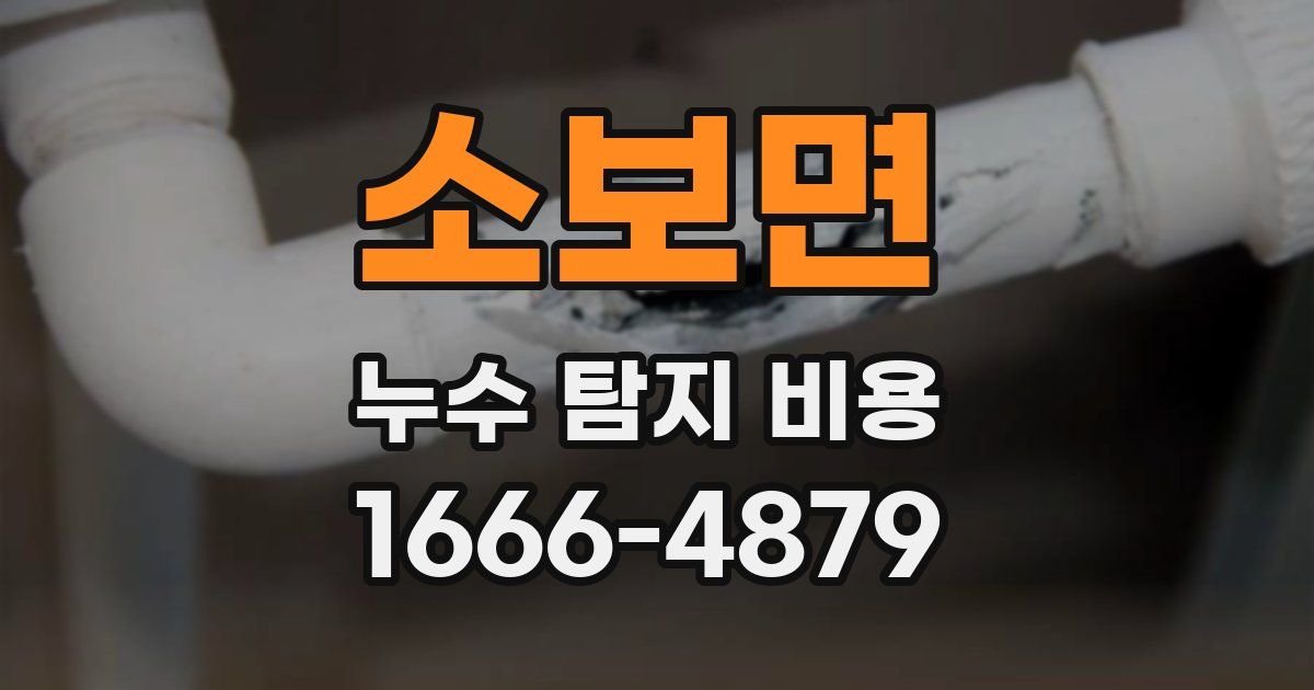 소보면 누수 탐지 비용