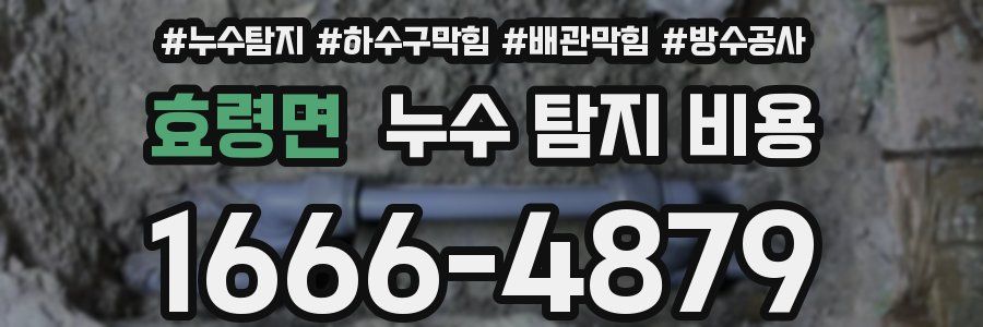 효령면 누수 탐지 비용
