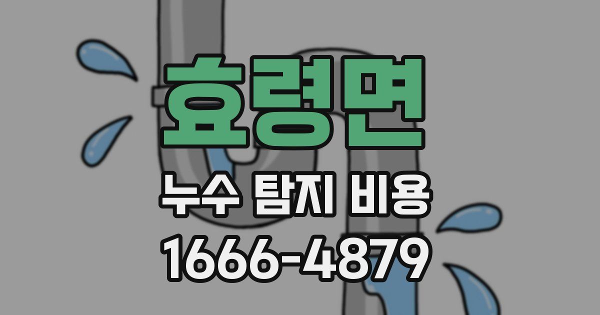 효령면 누수 탐지 비용