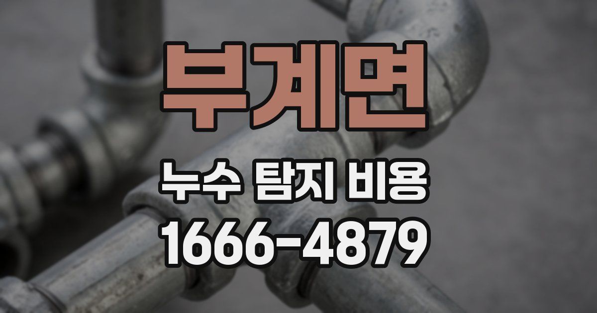 부계면 누수 탐지 비용