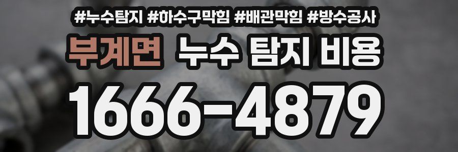 부계면 누수 탐지 비용