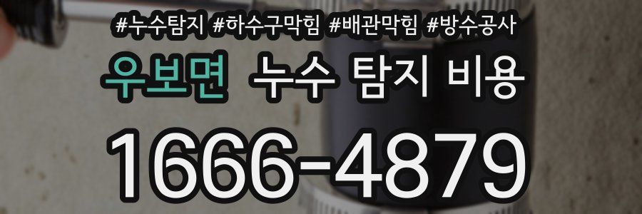 우보면 누수 탐지 비용