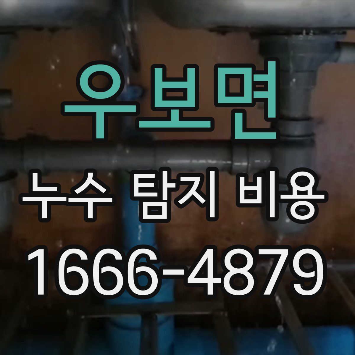 우보면 누수 탐지 비용