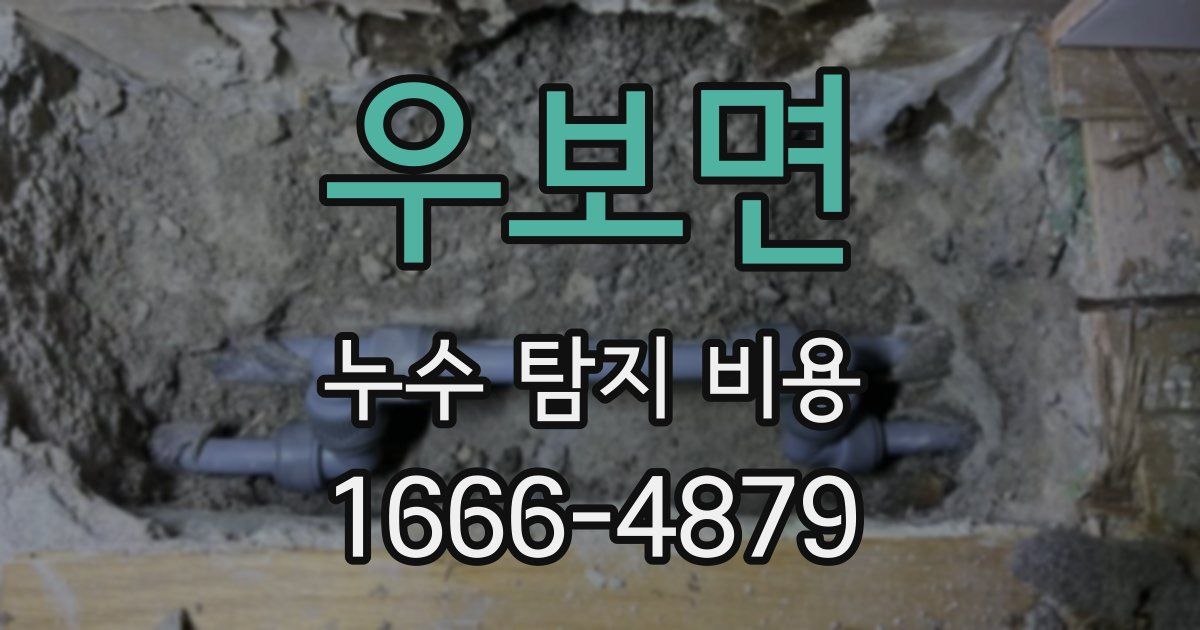 우보면 누수 탐지 비용
