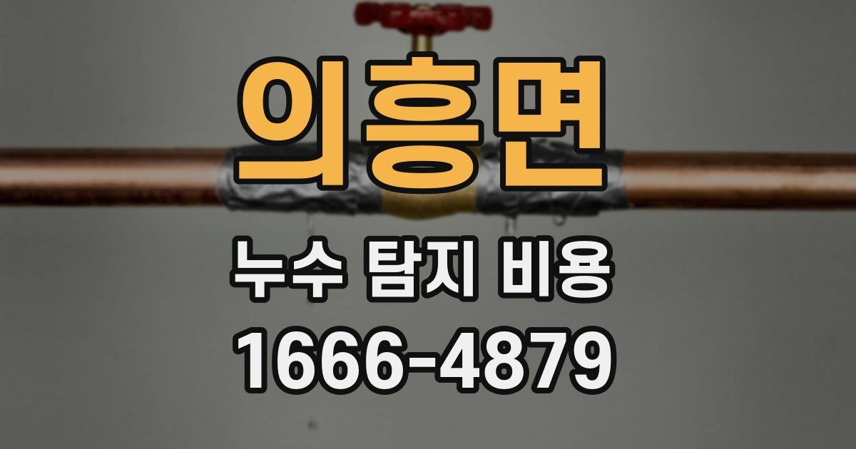 의흥면 누수 탐지 비용