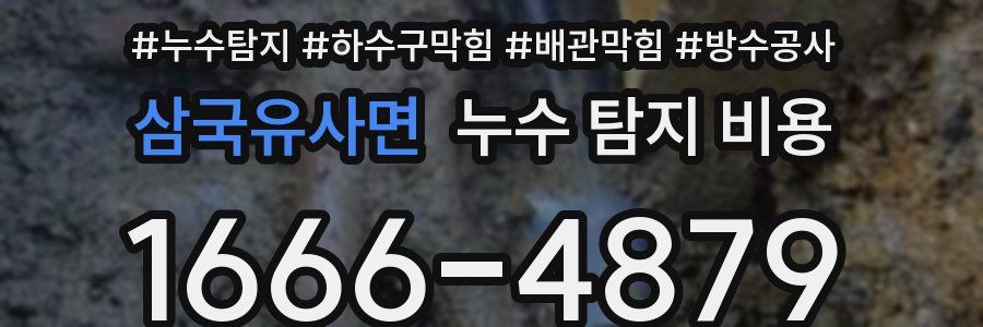 삼국유사면 누수 탐지 비용