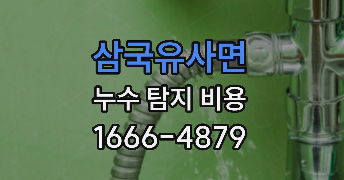삼국유사면 누수 탐지 비용