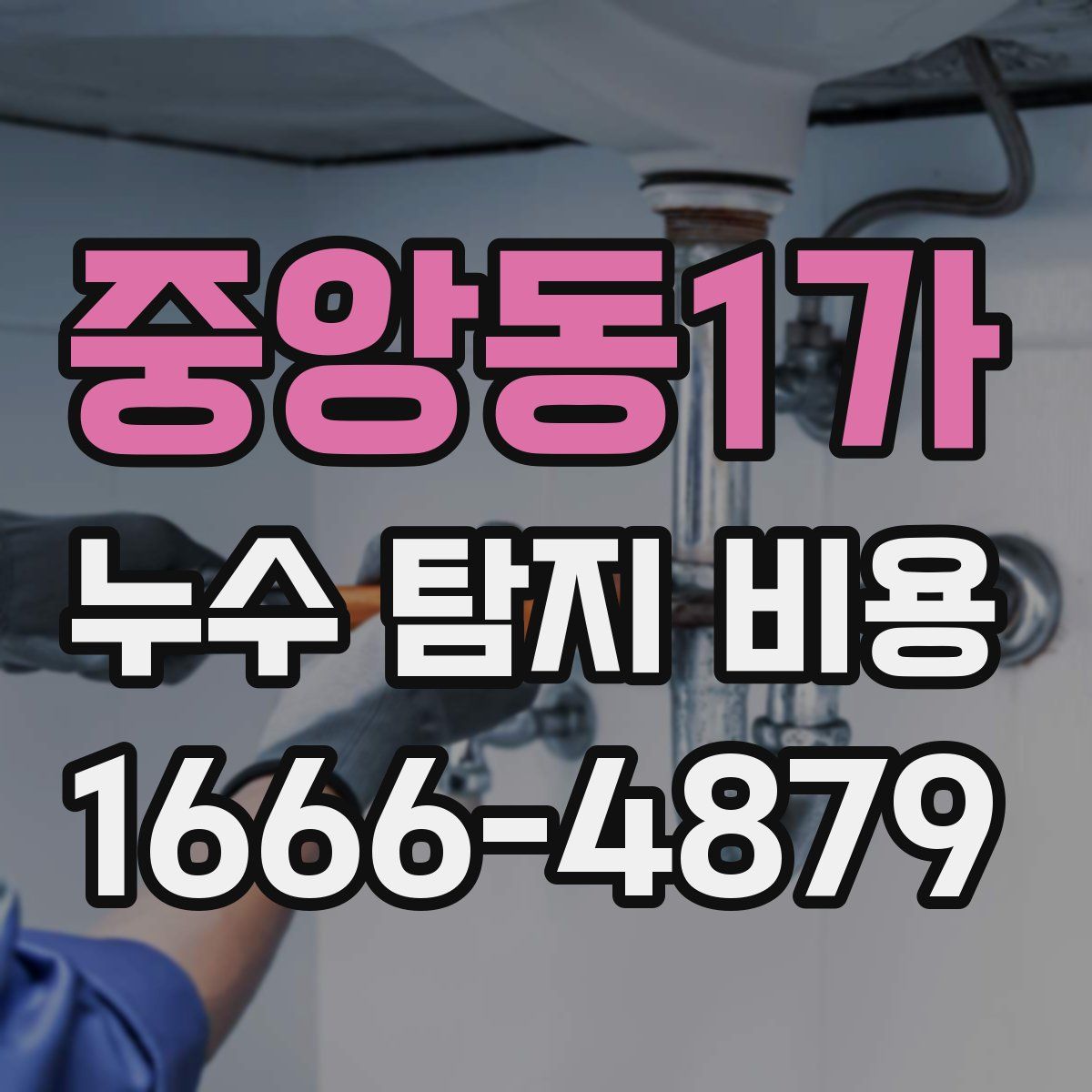 중앙동1가 누수 탐지 비용