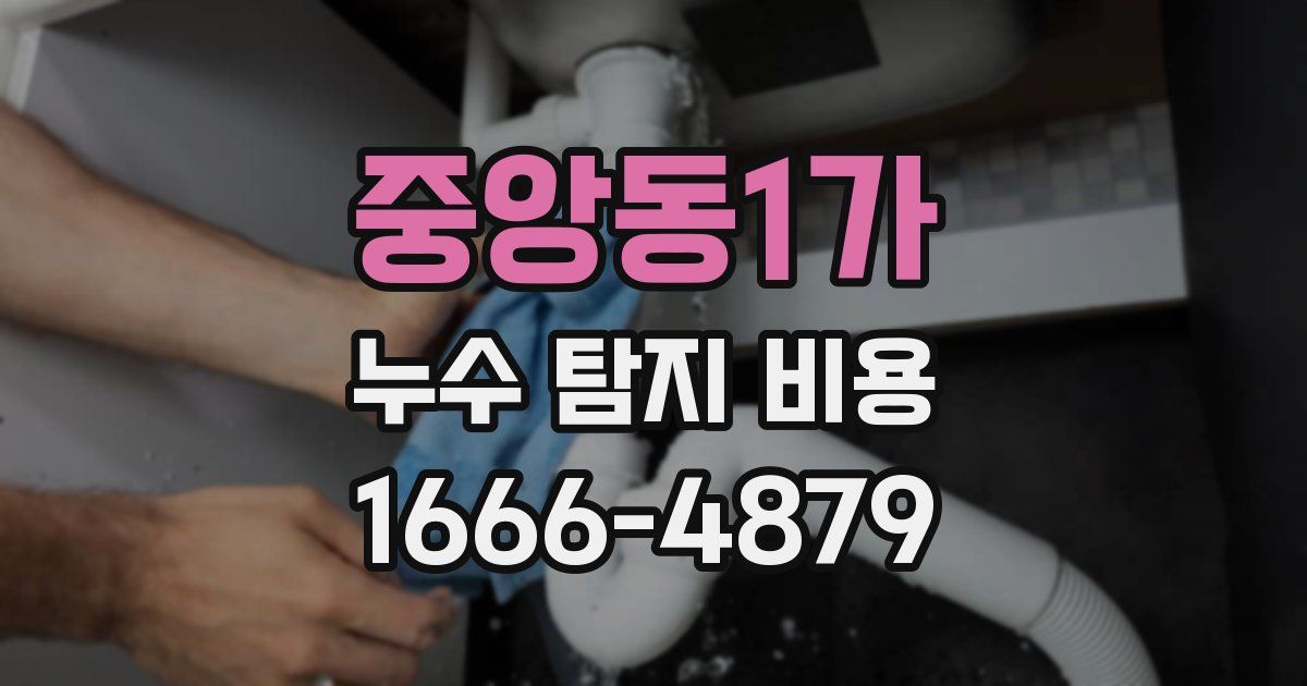 중앙동1가 누수 탐지 비용