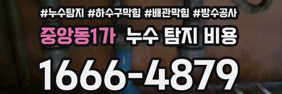 중앙동1가 누수 탐지 비용