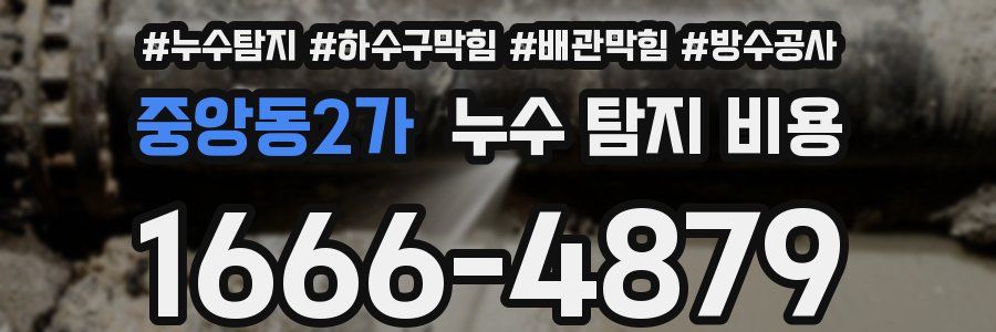 중앙동2가 누수 탐지 비용