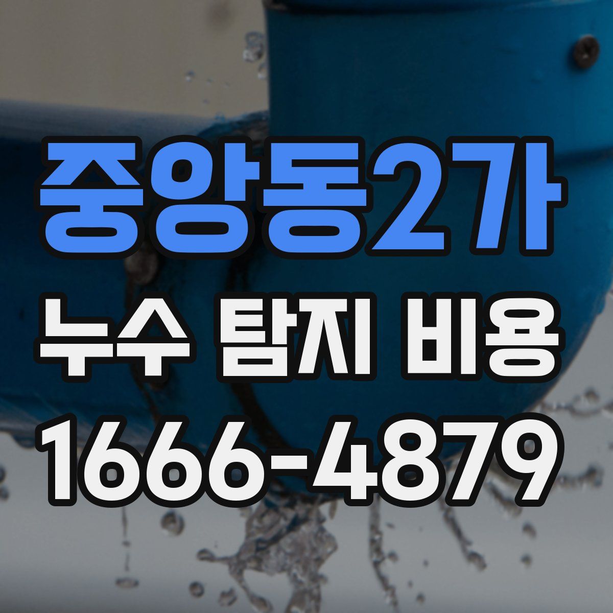 중앙동2가 누수 탐지 비용