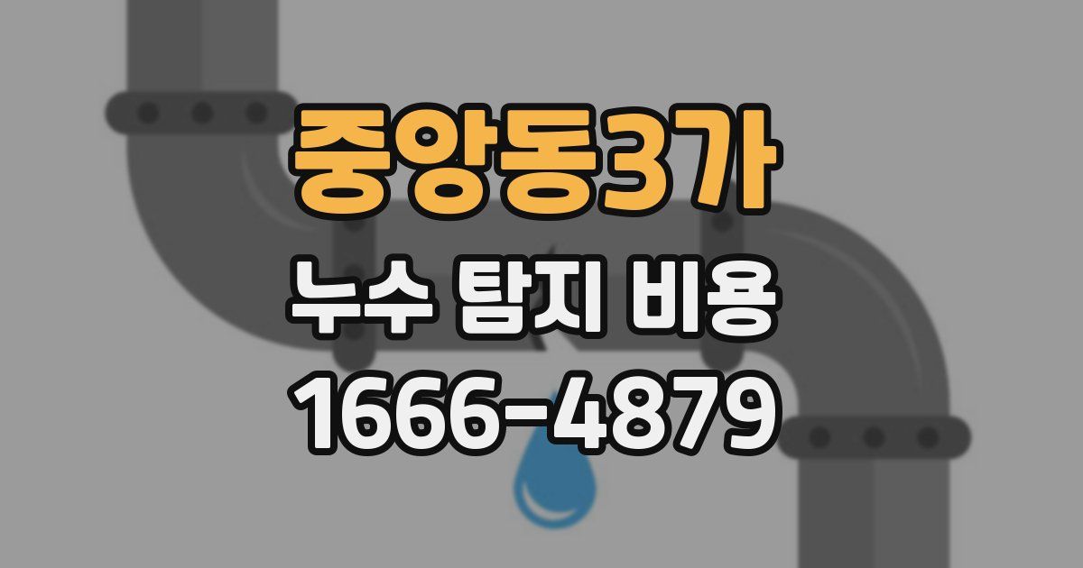 중앙동3가 누수 탐지 비용