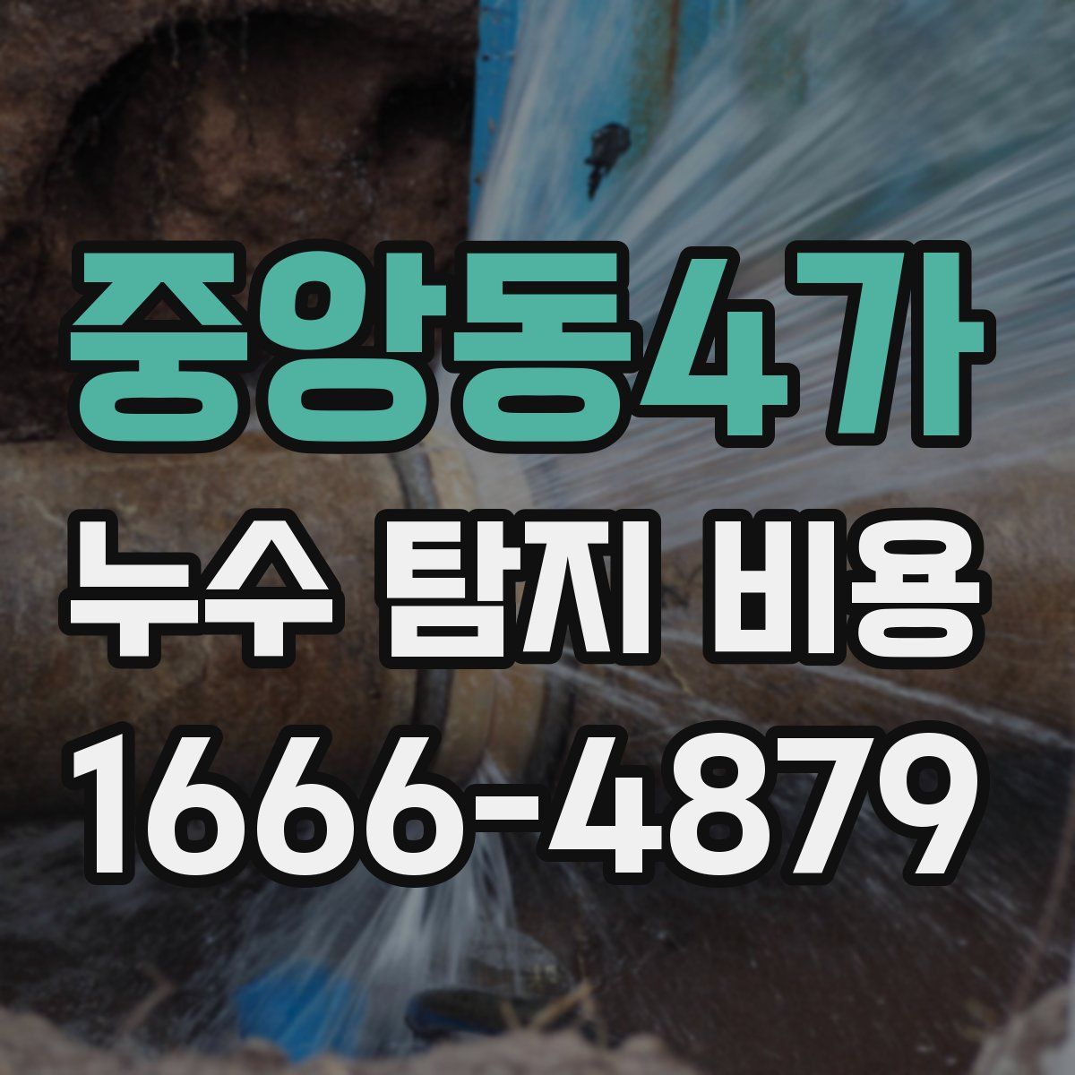중앙동4가 누수 탐지 비용