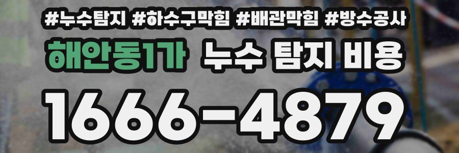 해안동1가 누수 탐지 비용
