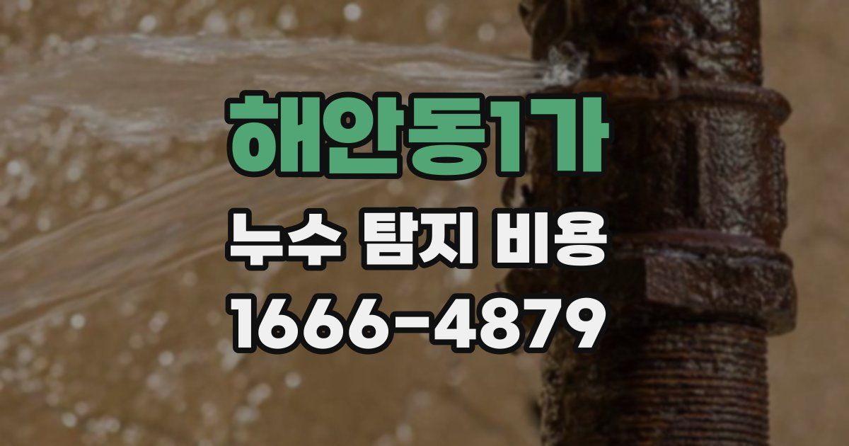 해안동1가 누수 탐지 비용