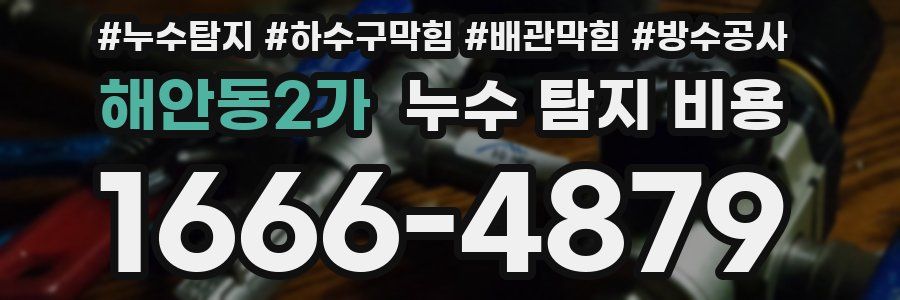 해안동2가 누수 탐지 비용