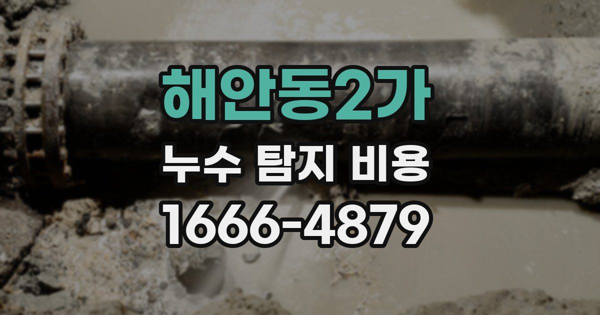 해안동2가 누수 탐지 비용
