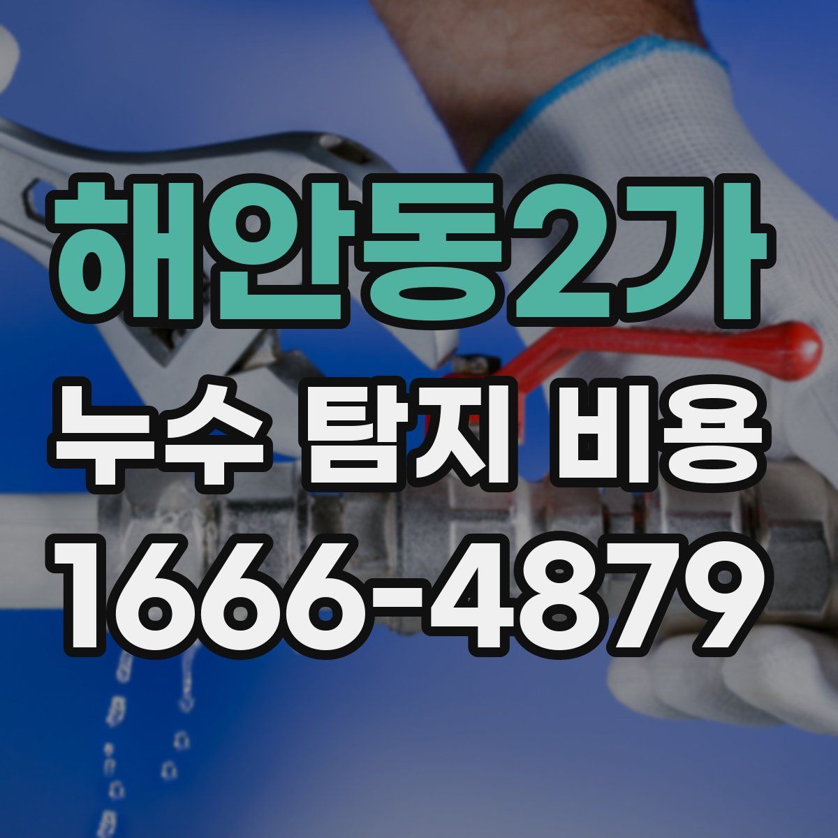 해안동2가 누수 탐지 비용
