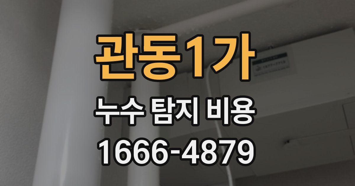 관동1가 누수 탐지 비용