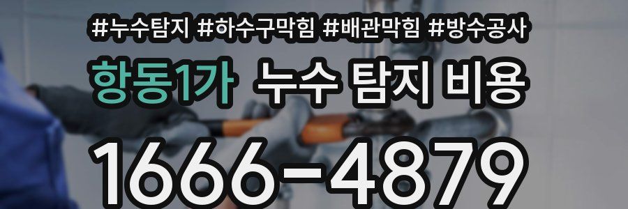 항동1가 누수 탐지 비용