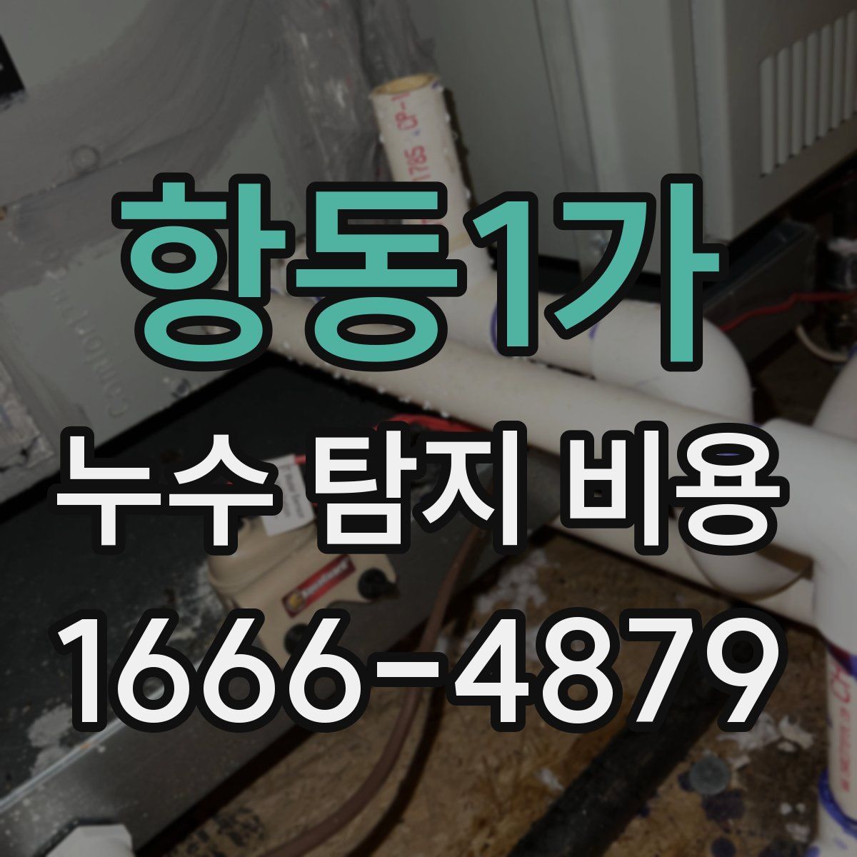 항동1가 누수 탐지 비용