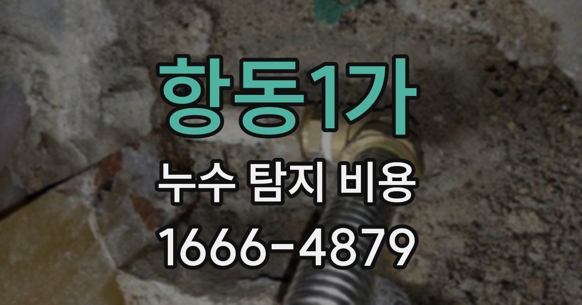 항동1가 누수 탐지 비용