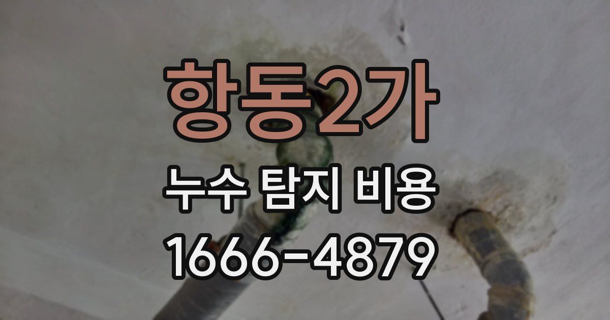 항동2가 누수 탐지 비용