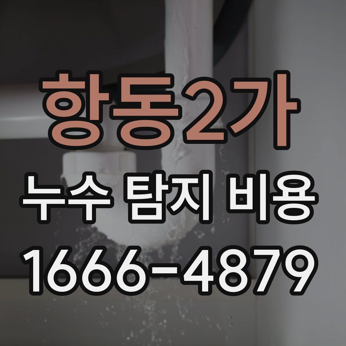 항동2가 누수 탐지 비용