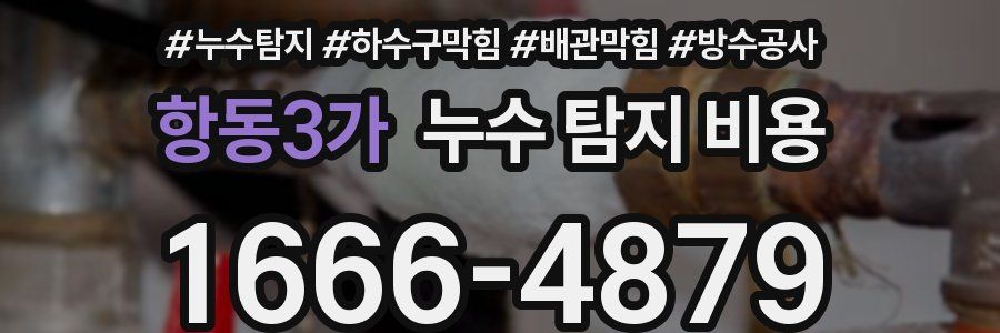 항동3가 누수 탐지 비용