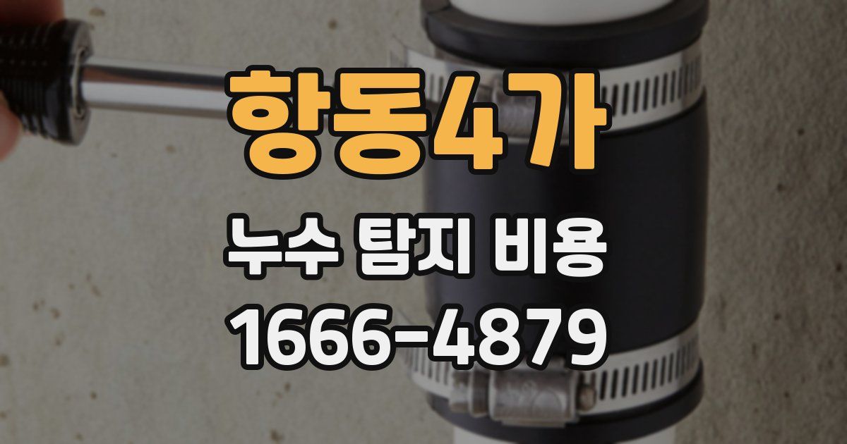 항동4가 누수 탐지 비용