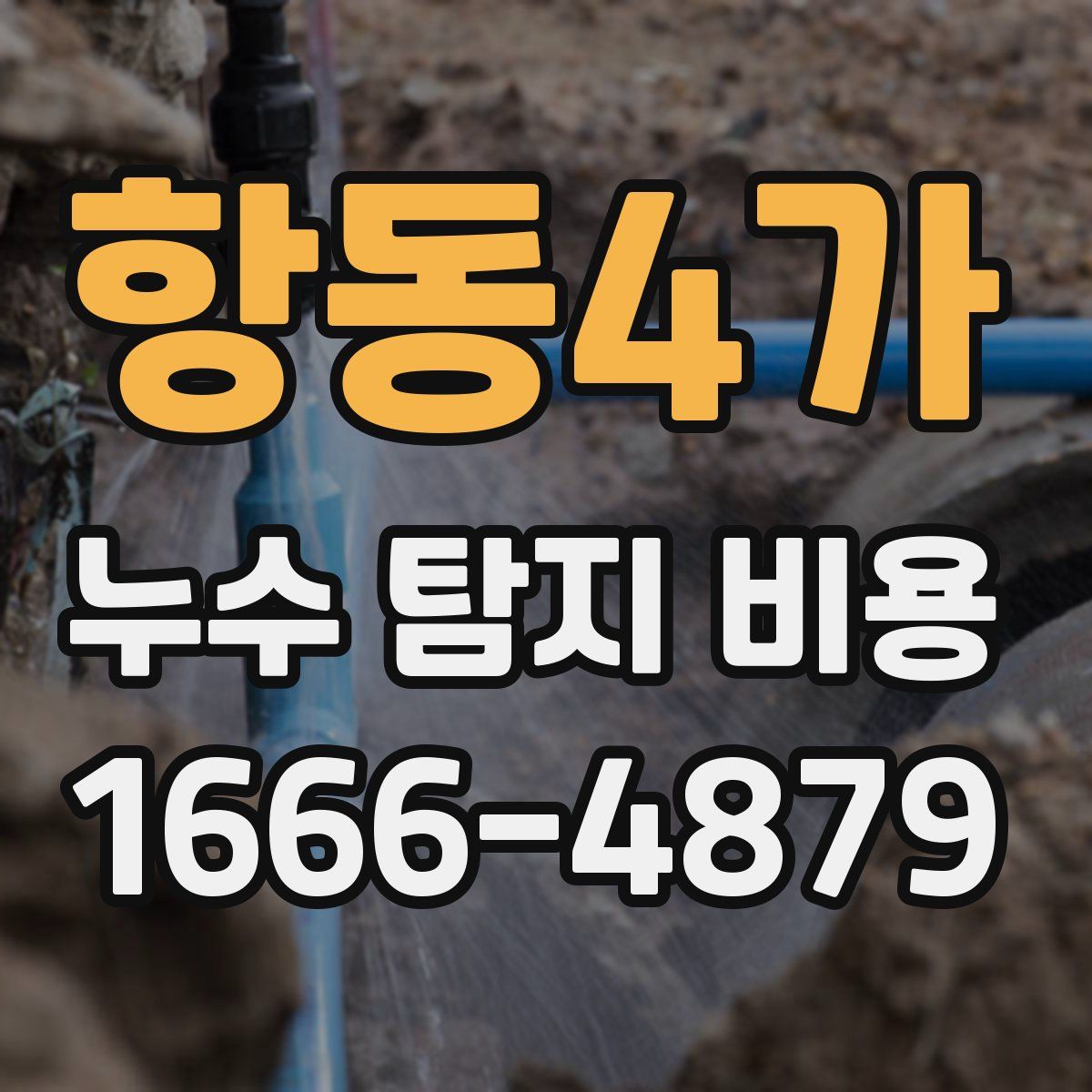항동4가 누수 탐지 비용