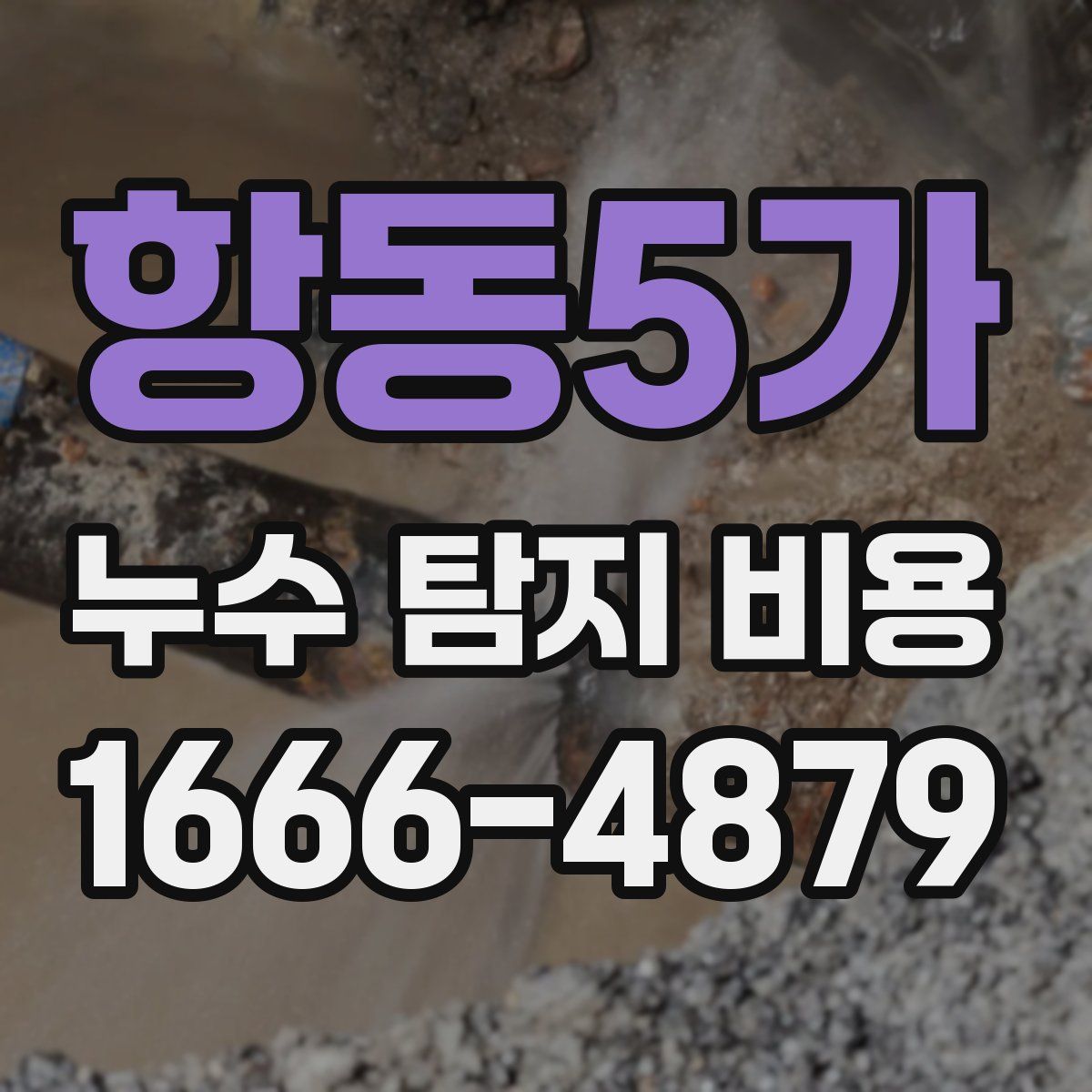 항동5가 누수 탐지 비용