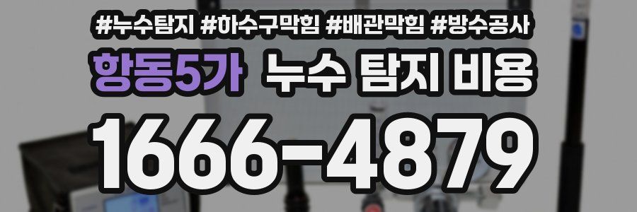 항동5가 누수 탐지 비용