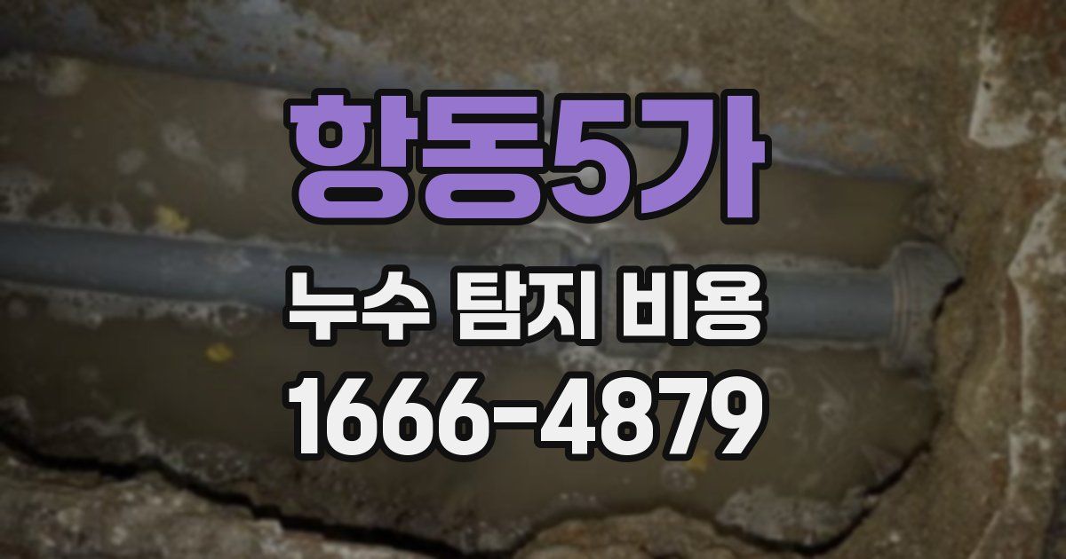 항동5가 누수 탐지 비용