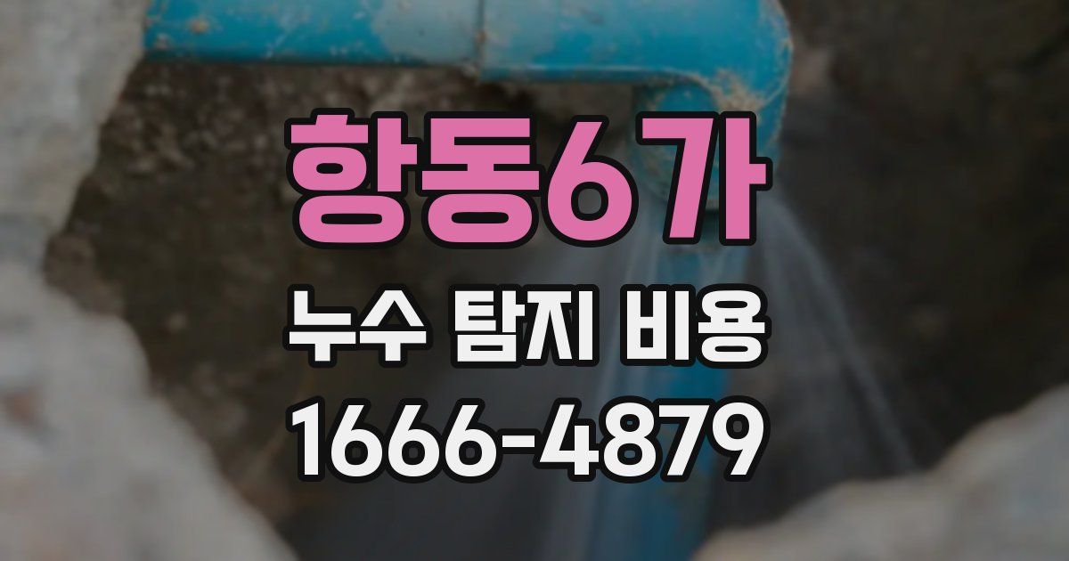 항동6가 누수 탐지 비용