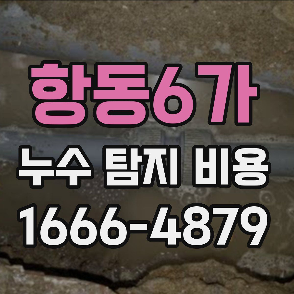 항동6가 누수 탐지 비용