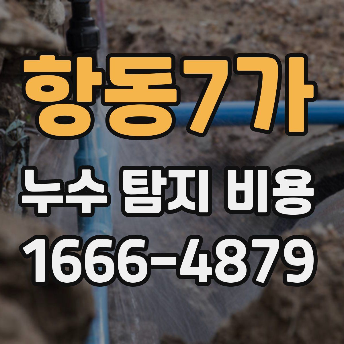 항동7가 누수 탐지 비용