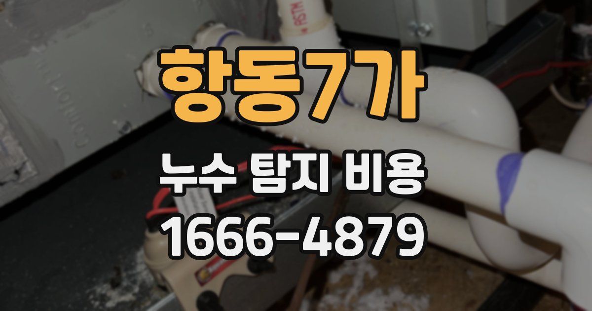항동7가 누수 탐지 비용