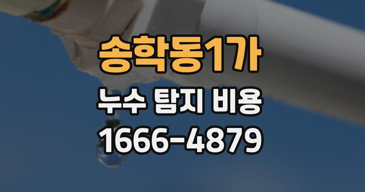 송학동1가 누수 탐지 비용