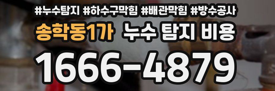 송학동1가 누수 탐지 비용