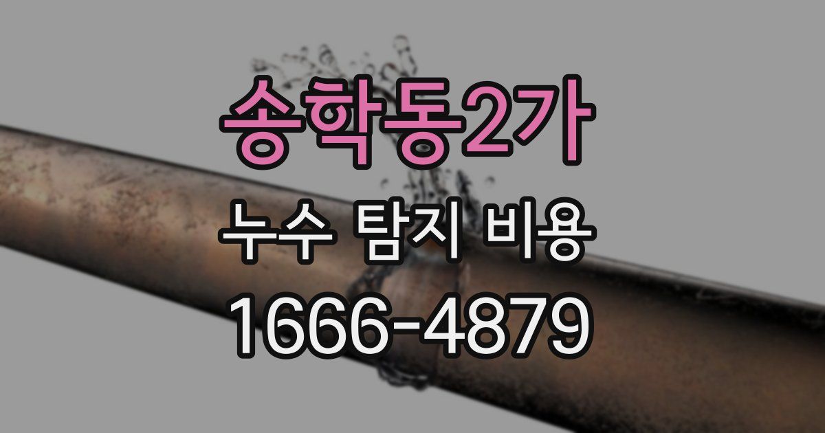 송학동2가 누수 탐지 비용