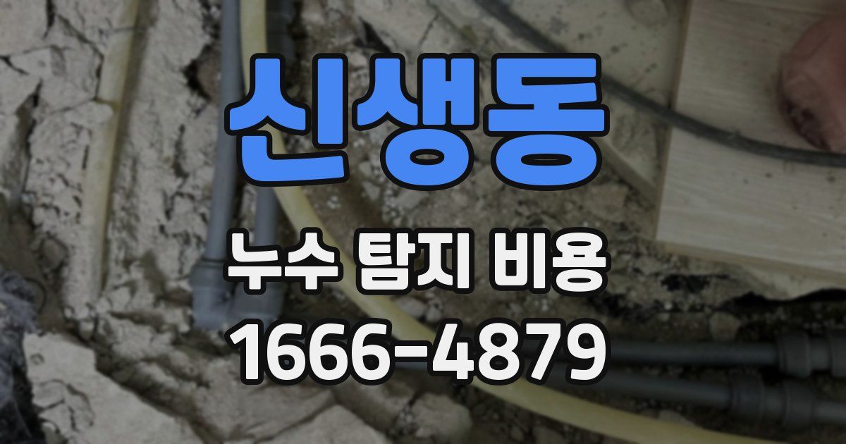 신생동 누수 탐지 비용