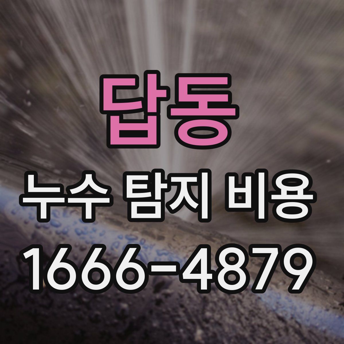 답동 누수 탐지 비용