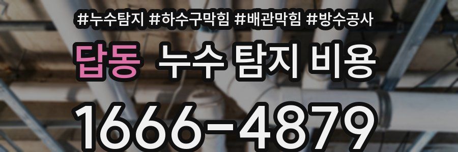 답동 누수 탐지 비용