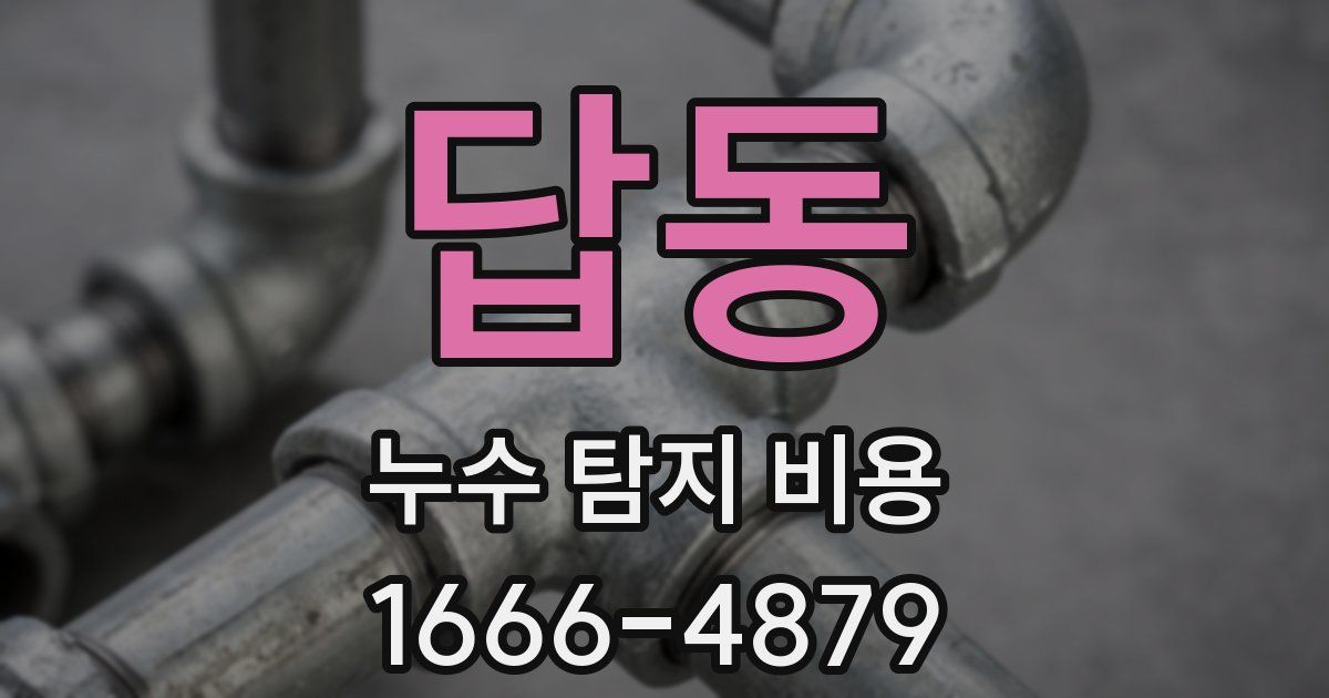답동 누수 탐지 비용
