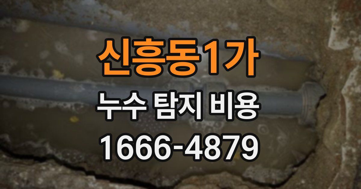 신흥동1가 누수 탐지 비용