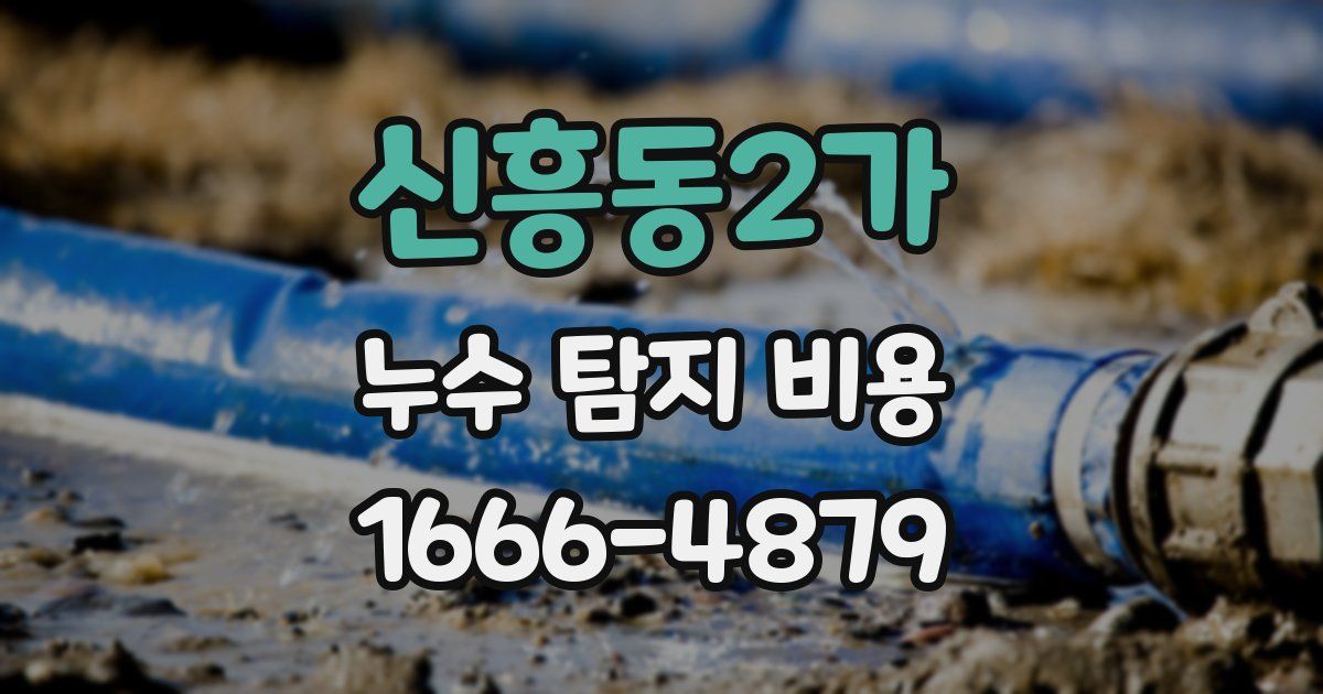 신흥동2가 누수 탐지 비용