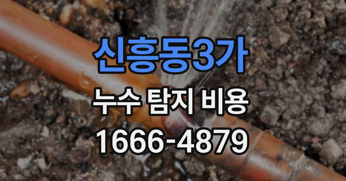 신흥동3가 누수 탐지 비용