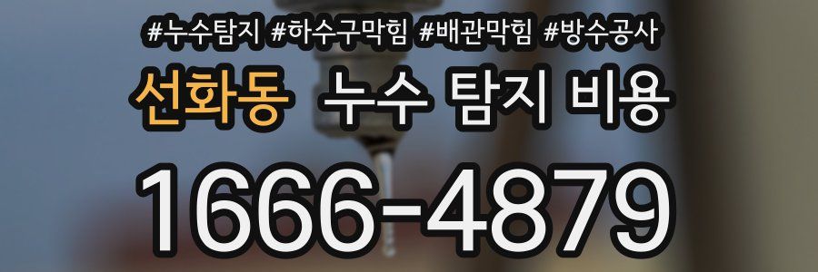 선화동 누수 탐지 비용